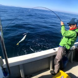 オーシャンズ 京都 釣果