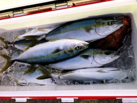 オーシャンズ 京都 釣果