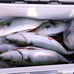 オーシャンズ 京都 釣果