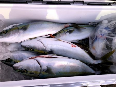 オーシャンズ 京都 釣果