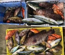 Sea Frend 片山丸 釣果