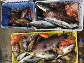 Sea Frend 片山丸 釣果