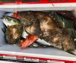 Sea Frend 片山丸 釣果