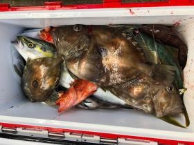 Sea Frend 片山丸 釣果