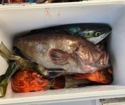 Sea Frend 片山丸 釣果