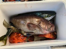 Sea Frend 片山丸 釣果