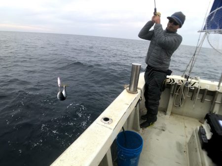 オーシャンズ 京都 釣果