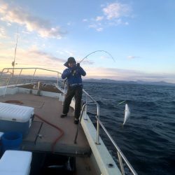 オーシャンズ　京都 釣果