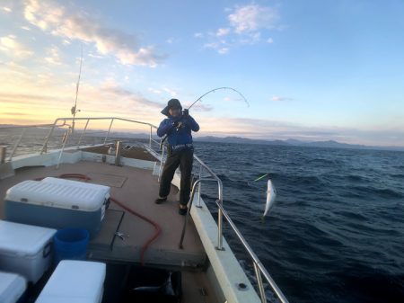 オーシャンズ　京都 釣果