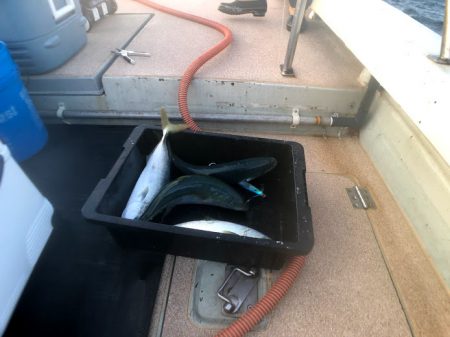 オーシャンズ　京都 釣果