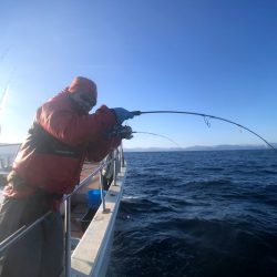 オーシャンズ　京都 釣果