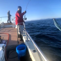 オーシャンズ　京都 釣果