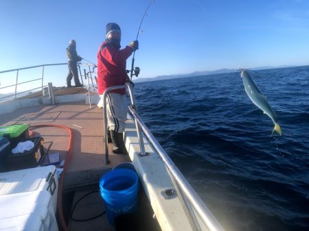 オーシャンズ　京都 釣果