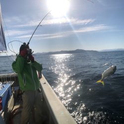 オーシャンズ　京都 釣果