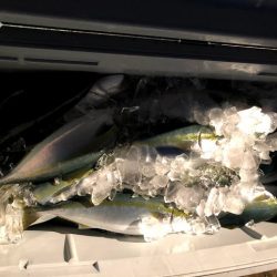 オーシャンズ　京都 釣果