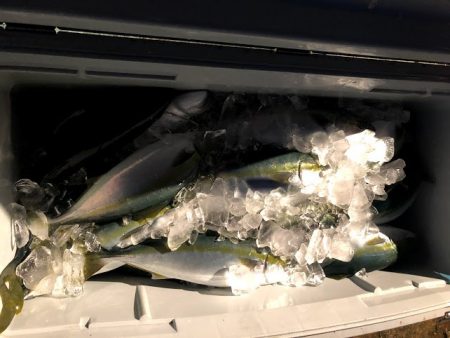 オーシャンズ　京都 釣果