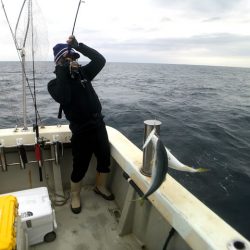 オーシャンズ　京都 釣果