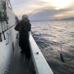 オーシャンズ 京都 釣果