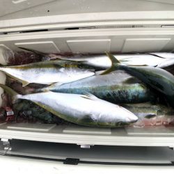 オーシャンズ 京都 釣果