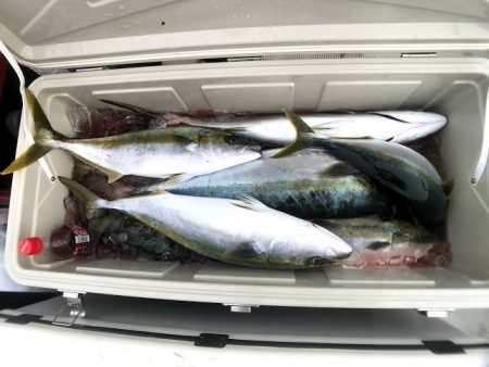 オーシャンズ　京都 釣果