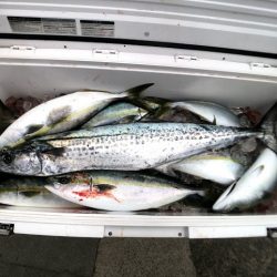 オーシャンズ 京都 釣果