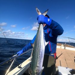 オーシャンズ　京都 釣果