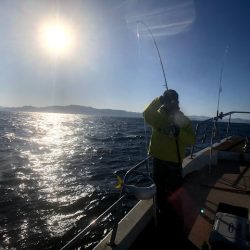 オーシャンズ　京都 釣果