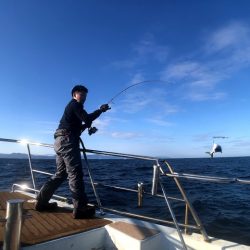 オーシャンズ　京都 釣果