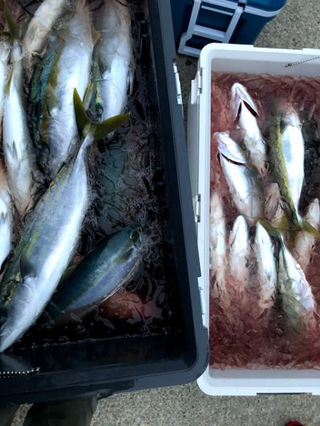 オーシャンズ　京都 釣果