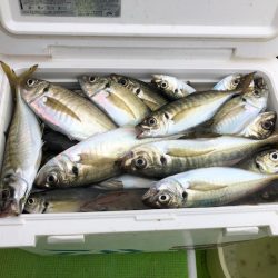 深川 吉野屋 釣果