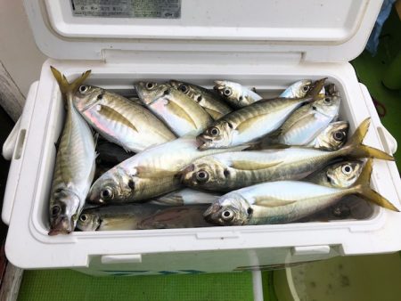 深川 吉野屋 釣果