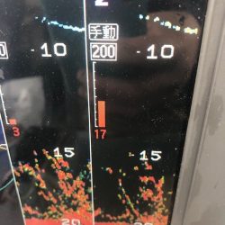 深川 吉野屋 釣果