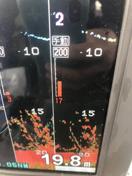 深川 吉野屋 釣果