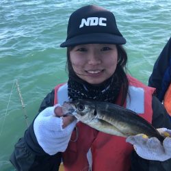 深川 吉野屋 釣果