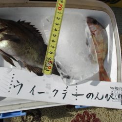 まとばや 釣果