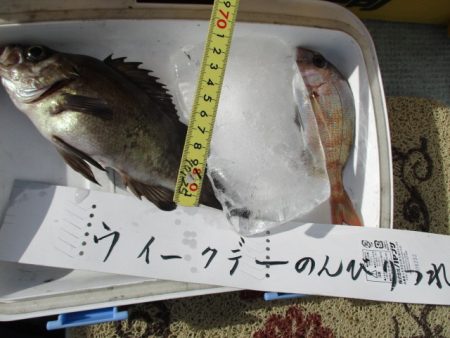 まとばや 釣果