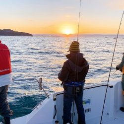 フィシングボートAir(エアー) 釣果