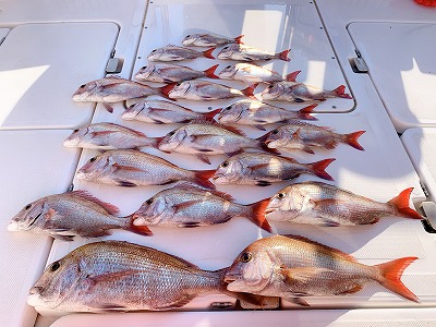 フィシングボートAir(エアー) 釣果