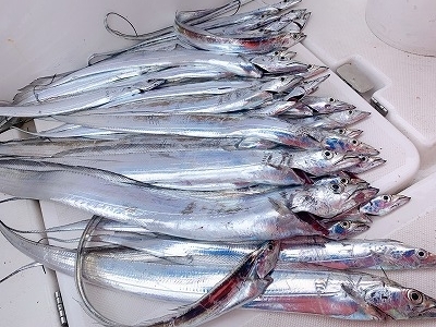 フィシングボートAir(エアー) 釣果