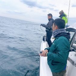 フィシングボートAir(エアー) 釣果