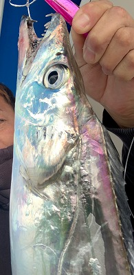 フィシングボートAir(エアー) 釣果