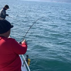 フィシングボートAir(エアー) 釣果