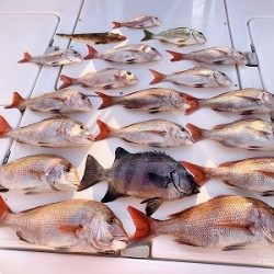 フィシングボートAir(エアー) 釣果