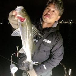 フィシングボートAir(エアー) 釣果