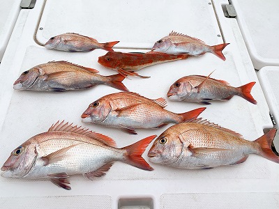 フィシングボートAir(エアー) 釣果