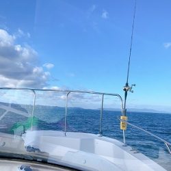 フィシングボートAir(エアー) 釣果