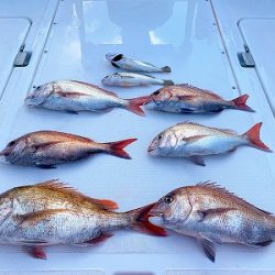 フィシングボートAir(エアー) 釣果