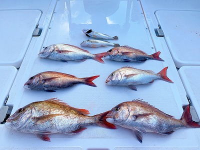 フィシングボートAir(エアー) 釣果