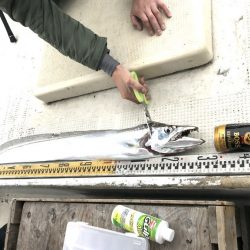 釣り船角田 釣果