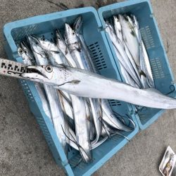 釣り船角田 釣果